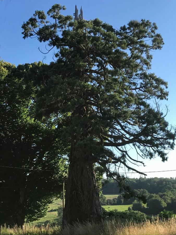 Le Cottage Du Sequoia Chamberet Exterior foto